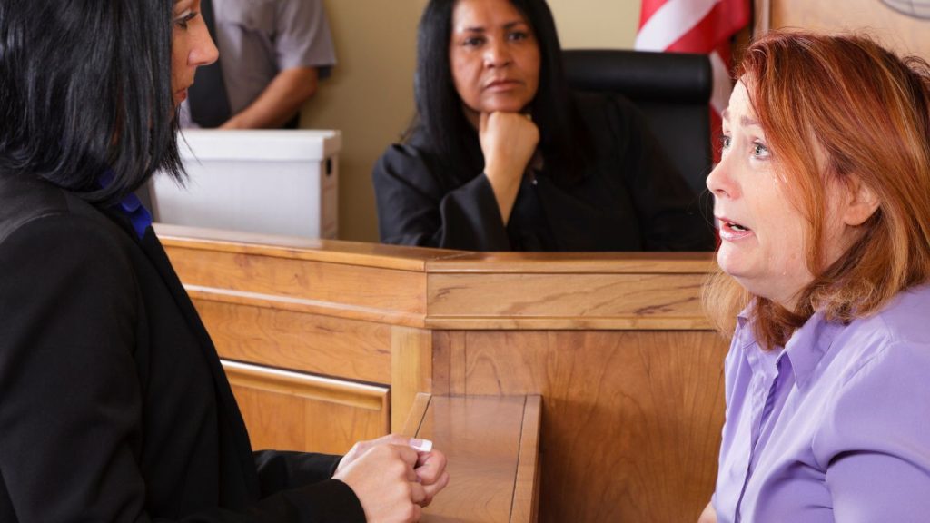expert witness